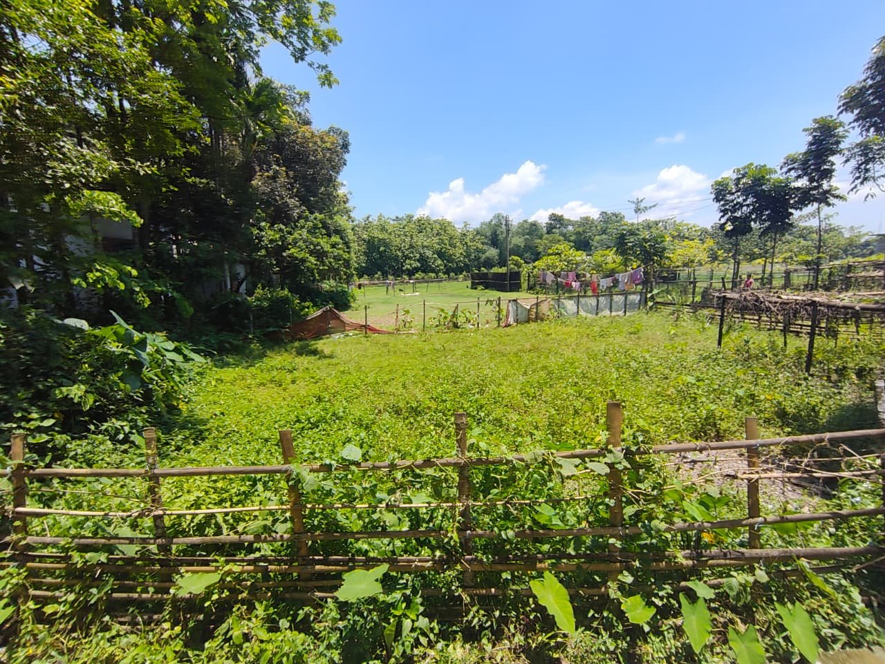 Land for Sale – Gairkata, Near Dhupguri, Jalpaiguri Dist